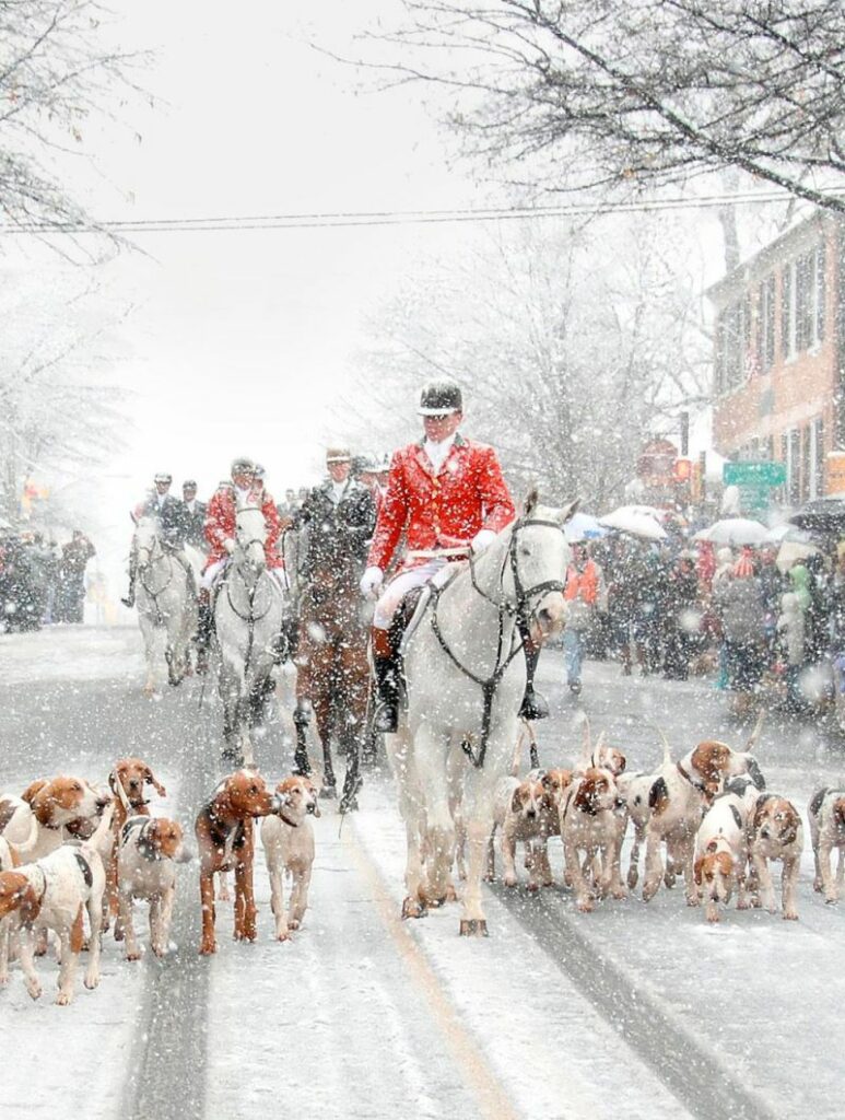 Best Christmas Vacations With Dogs