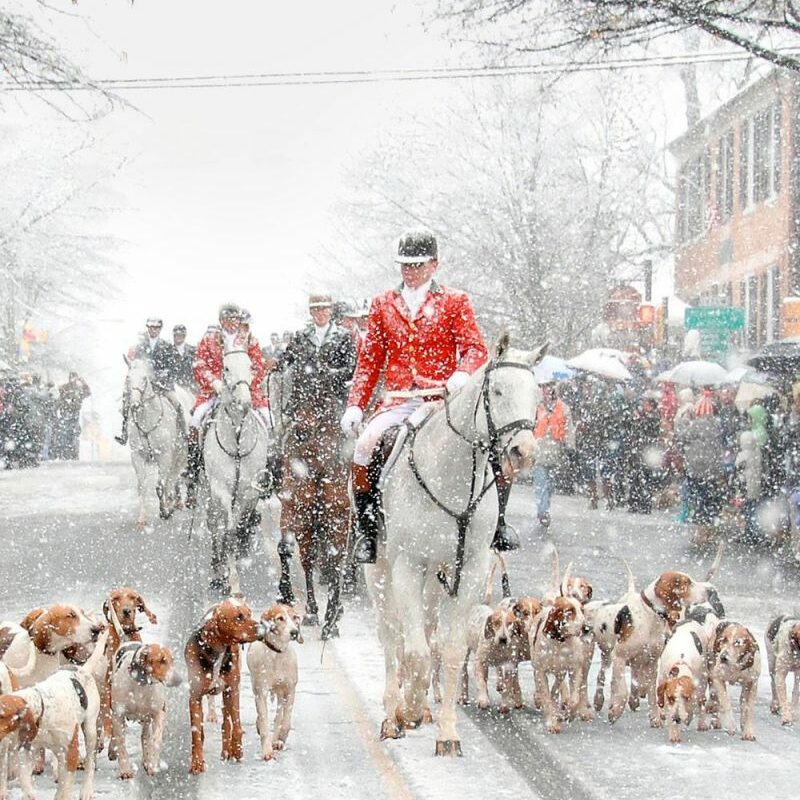 Best Christmas Vacations With Dogs