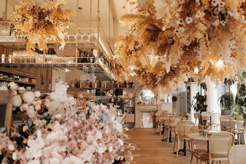 Best Dog Friendly Cafes Near Me