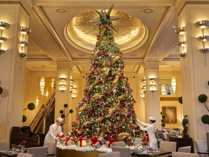 Best Dog Friendly Christmas Hotel Packages