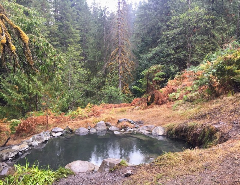 Best Dog Friendly Hikes Olympic National Park