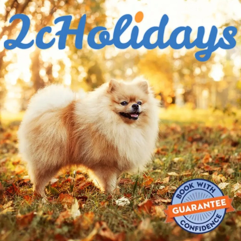 Best Dog Friendly Holidays England