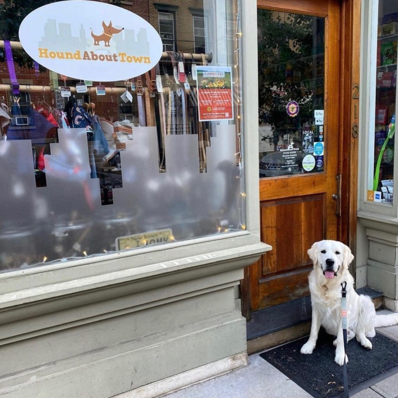 Best Dog Friendly Restaurants Jersey City