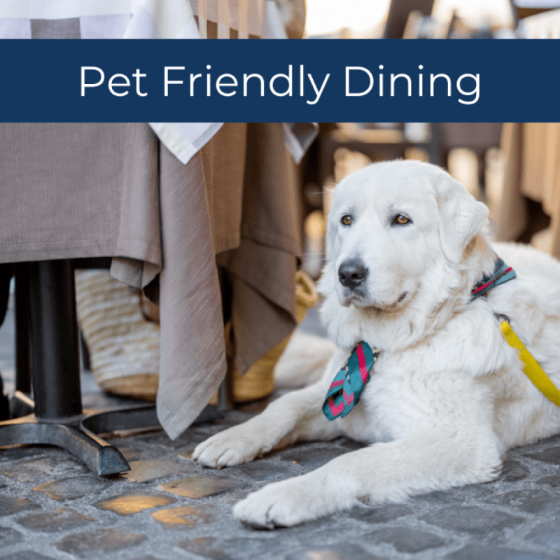 Best Dog Friendly Restaurants Near Me
