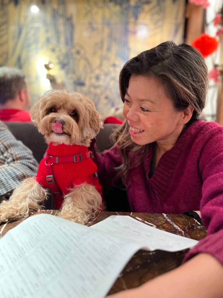 Best Dog Friendly Restaurants Victoria