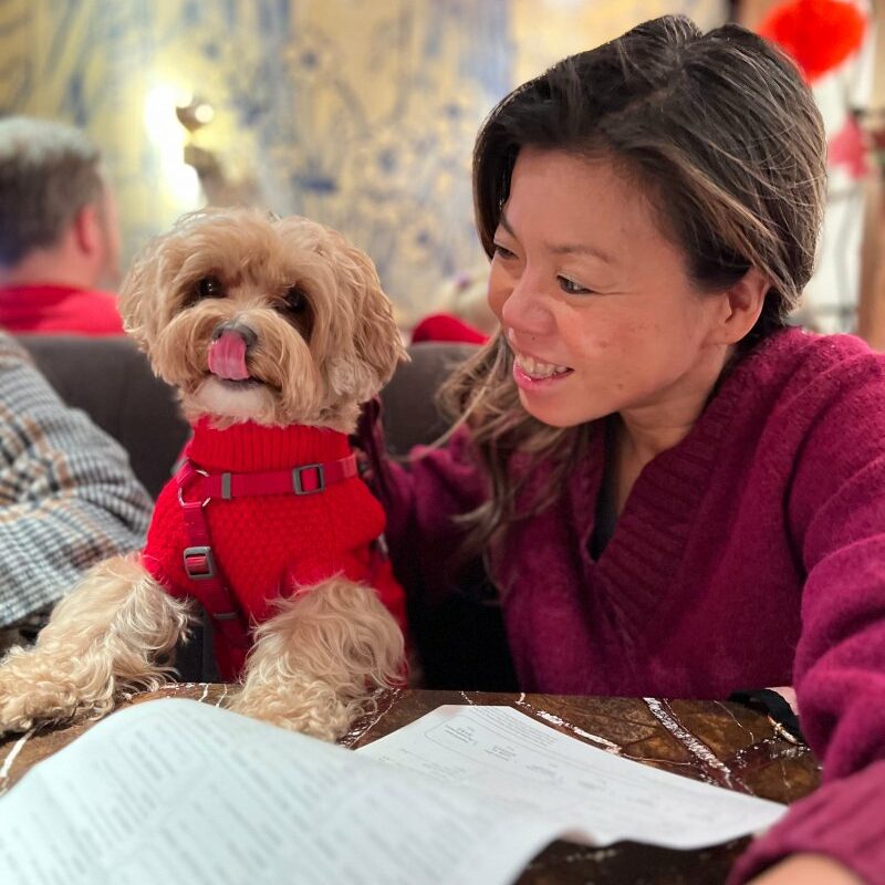 Best Dog Friendly Restaurants Victoria