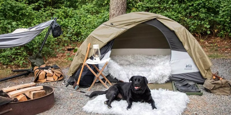 Best Dog Friendly State Parks