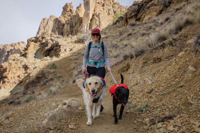Best Dog Friendly Trails Bay Area