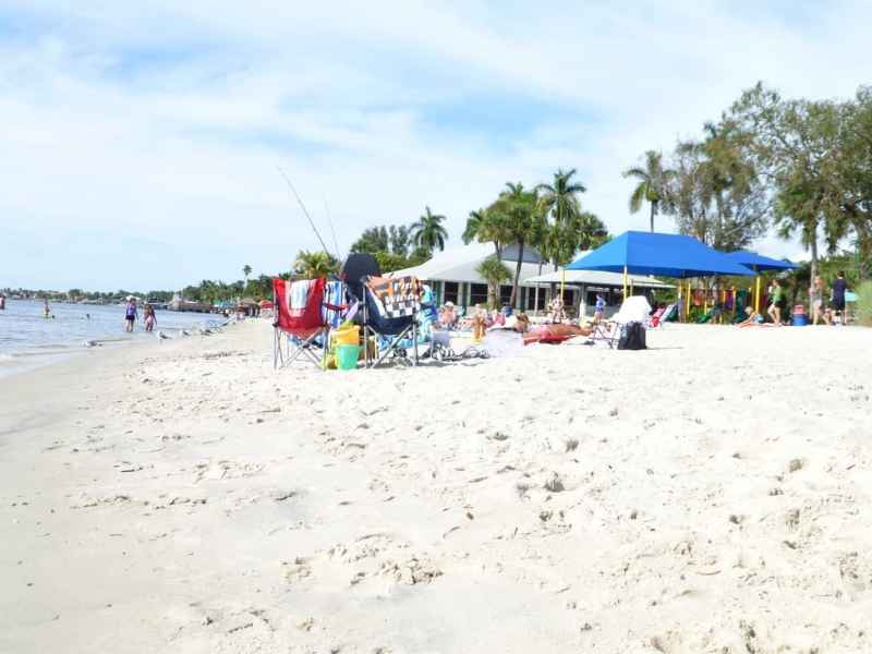 Best Dog Friendly Vacations Florida