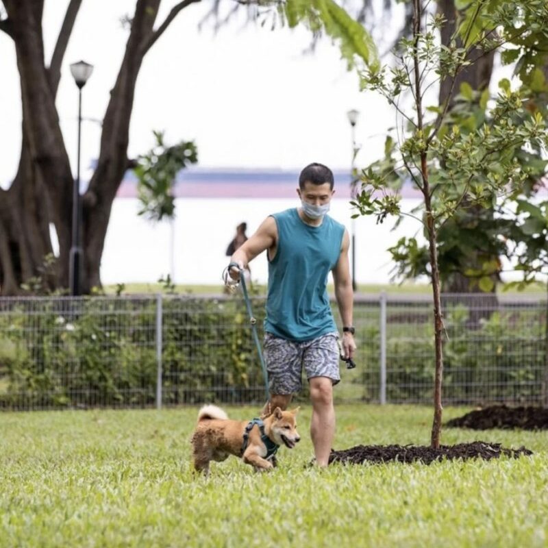 Best Dog Friendly Vacations Northeast