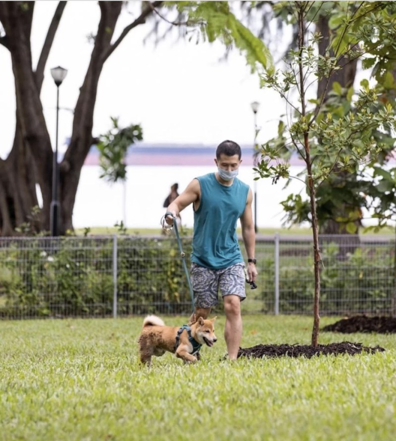 Best Dog Friendly Vacations Northeast
