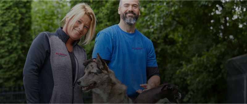 Best Dog Resorts In Us