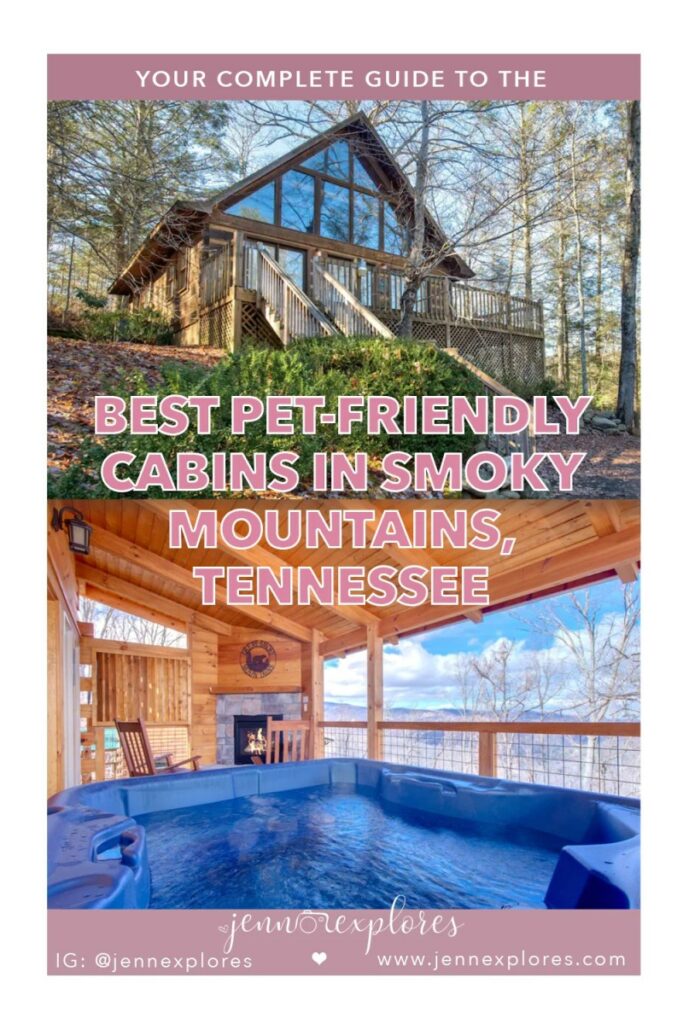 Best Pet Friendly Mountain Resorts