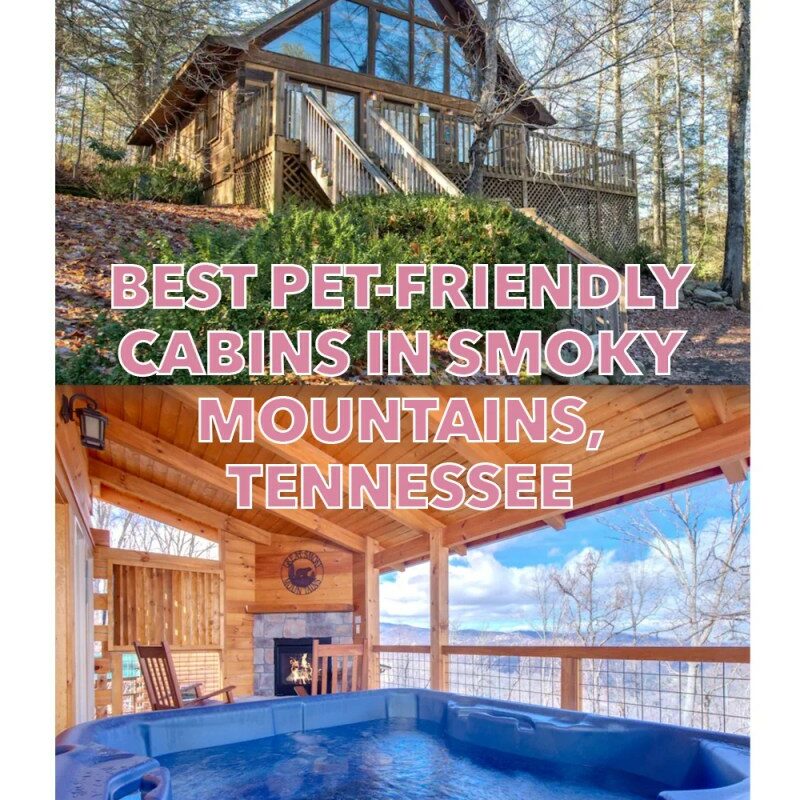 Best Pet Friendly Mountain Resorts