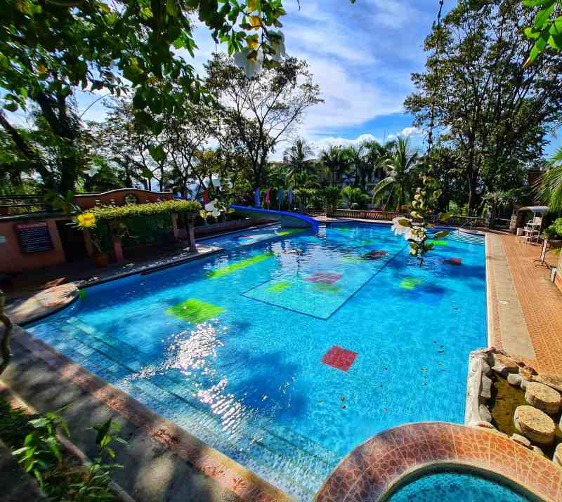 Best Pet Friendly Resorts Near Me