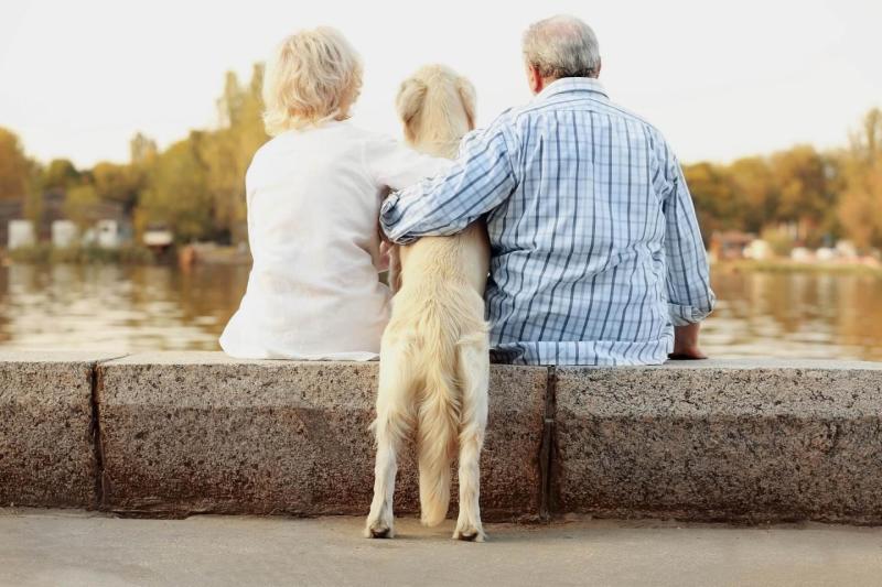 Best Pet Friendly Resorts Vermont