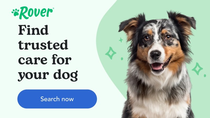 Closest Dog Friendly Restaurant To Me