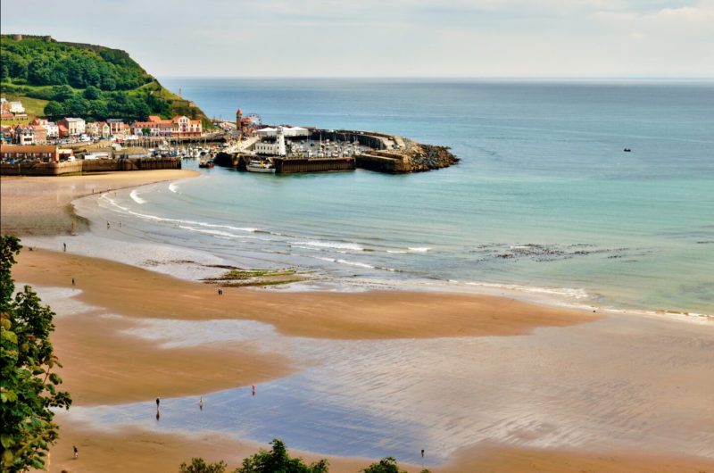 Dog Friendly Beaches East Coast Yorkshire