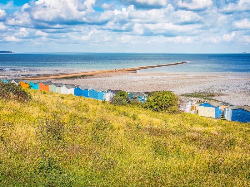 Dog Friendly Beaches East Kent