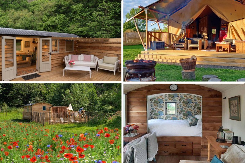 Dog Friendly Cabin Uk