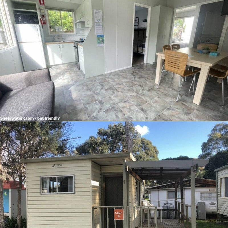 Dog Friendly Cabin Victoria