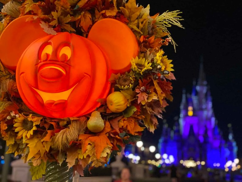 Dog Friendly Halloween Events Near Me 2020