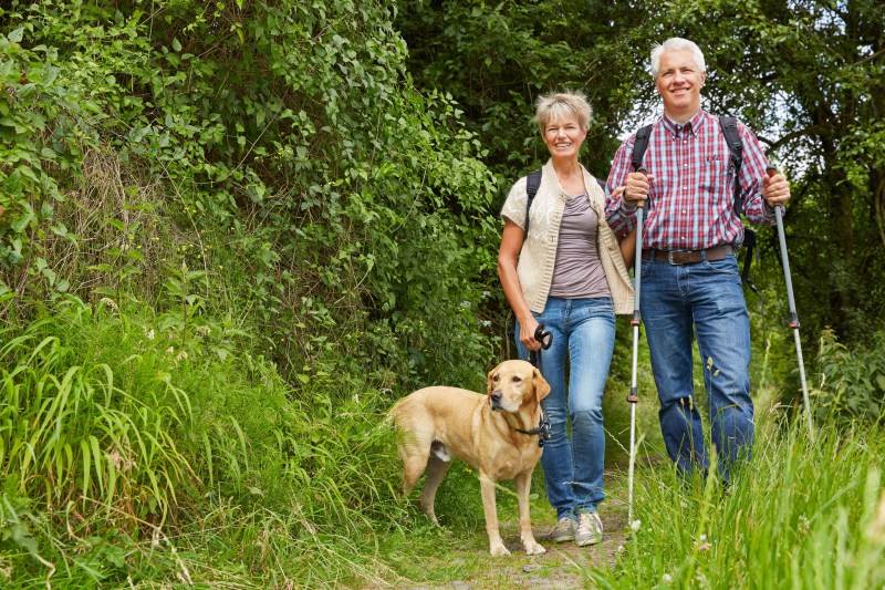 Dog Friendly Holidays France