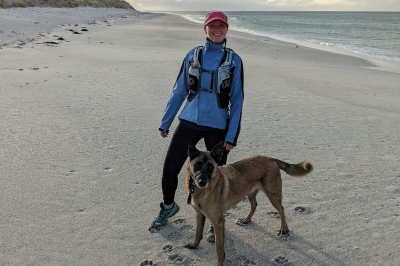 Dog Friendly Holidays On The Beach