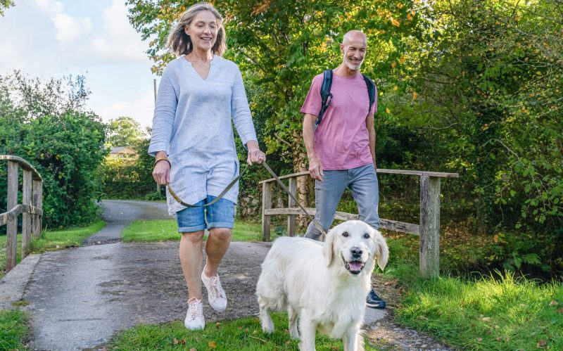 Dog Friendly Holidays Yarmouth