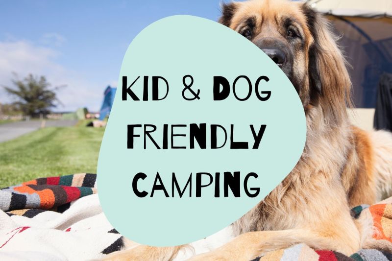 Dog Friendly Holidays Yorkshire