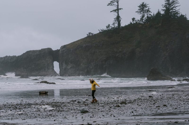 Dog Friendly Lodging Olympic National Park