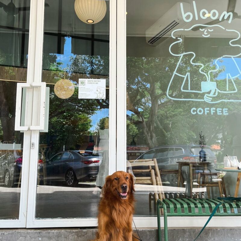 Dog Friendly Pubs Near Me With Food