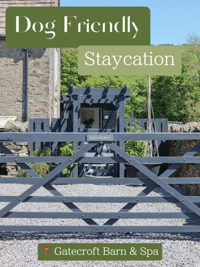 Dog Friendly Resorts Near Me