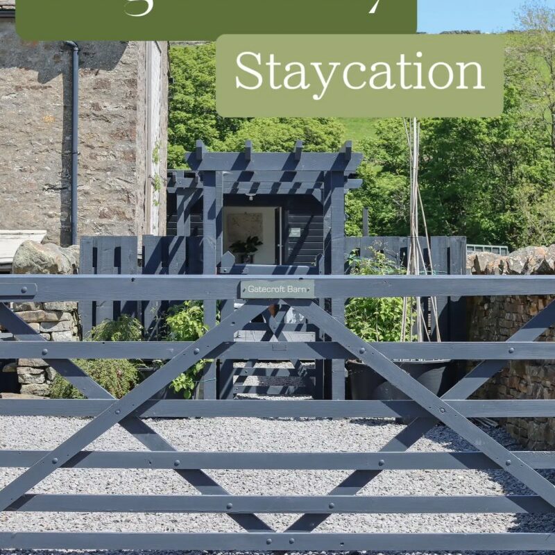 Dog Friendly Resorts Near Me