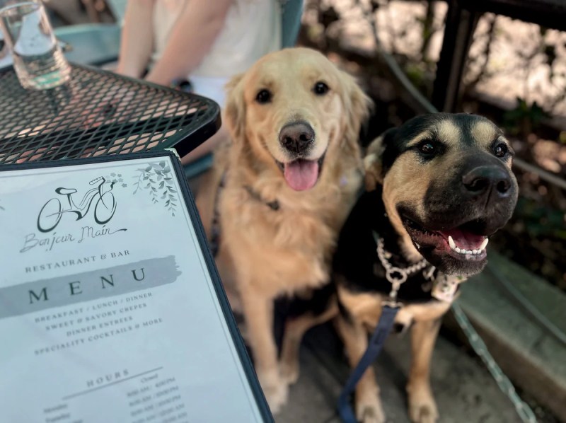 Dog Friendly Restaurants Near Me For Breakfast