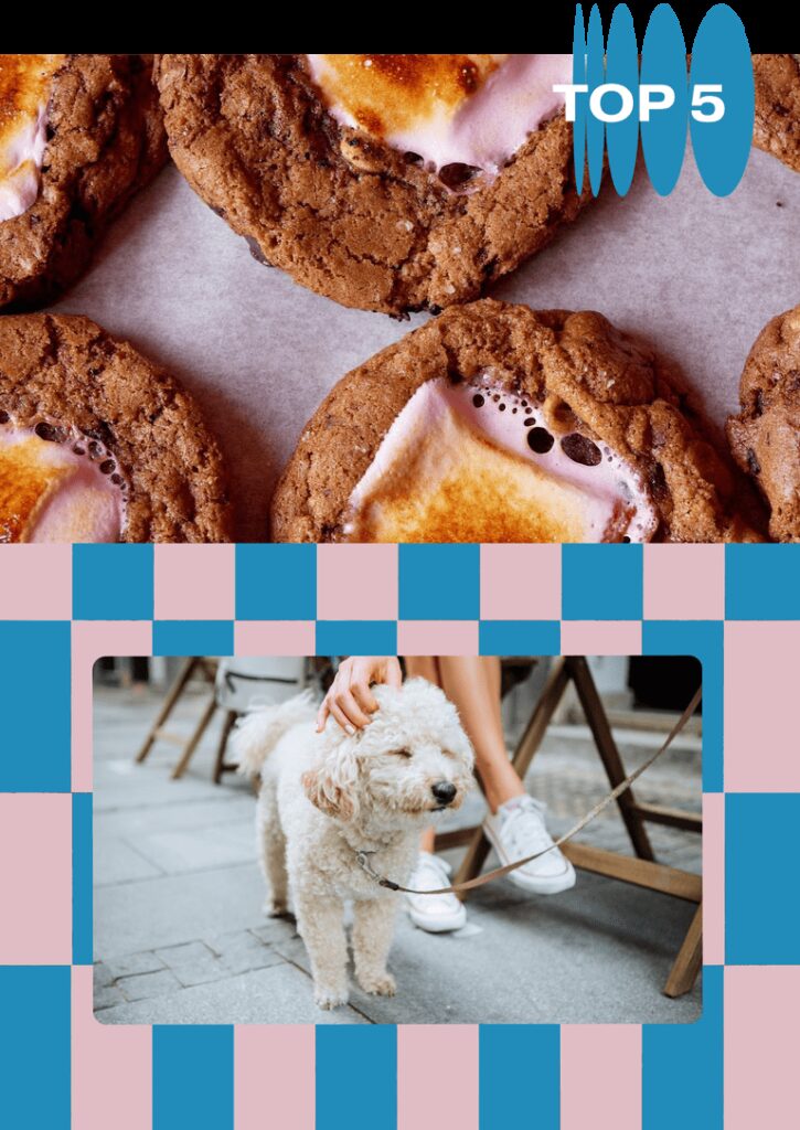 Dog Friendly Restaurants Near Me On The Water