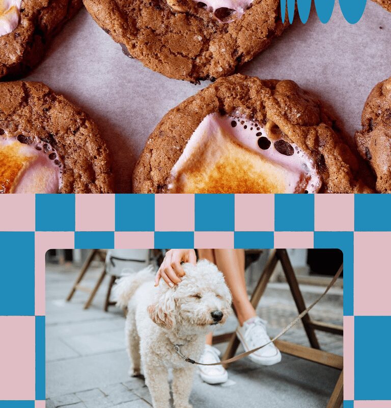 Dog Friendly Restaurants Near Me On The Water