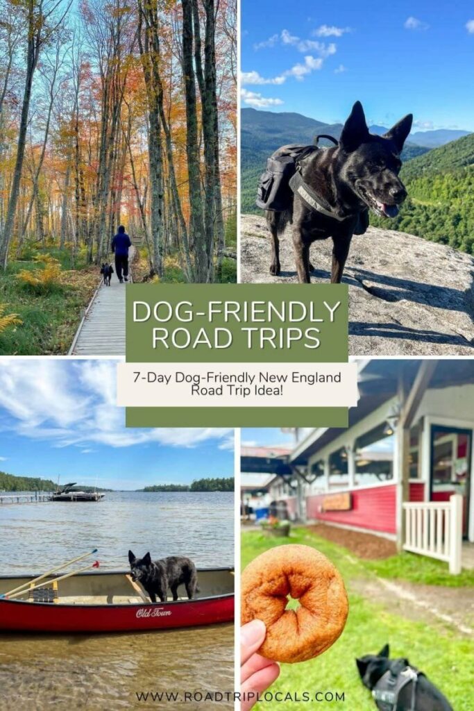 Dog-friendly Road Trips Near Me