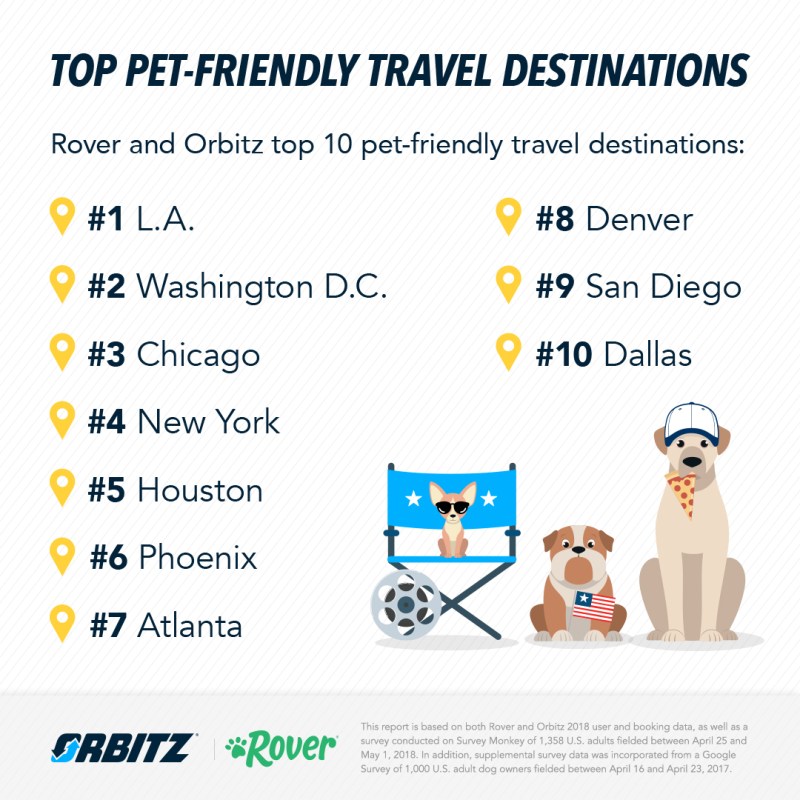 Dog-friendly Vacation Ideas