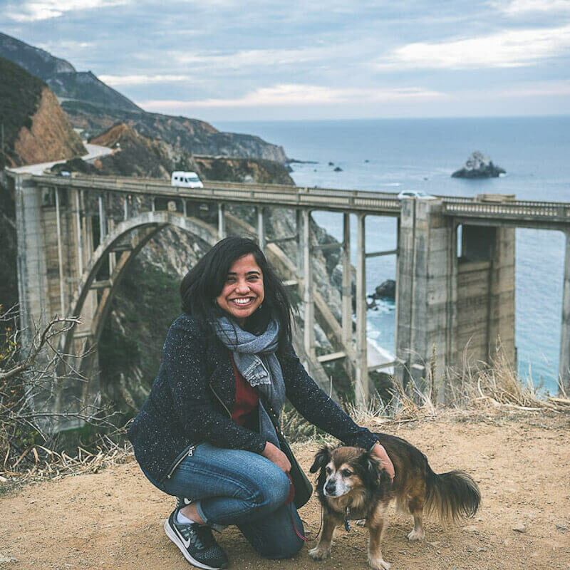 Dog Friendly Vacation Spots California