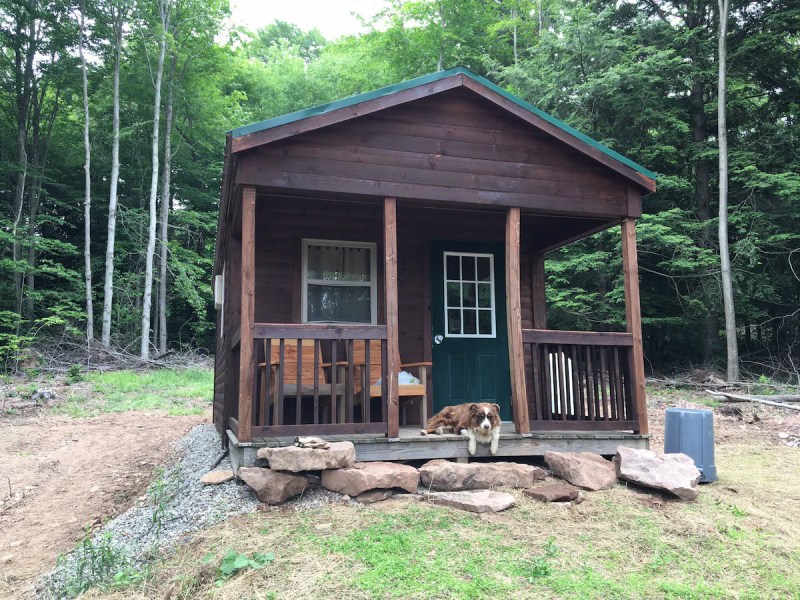 Dog Friendly Vacation Spots In Pa
