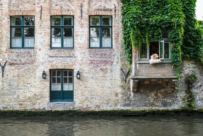 Dog Friendly Vacations Europe