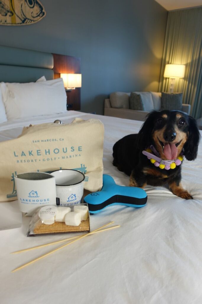 Dog Friendly Vacations In Minnesota
