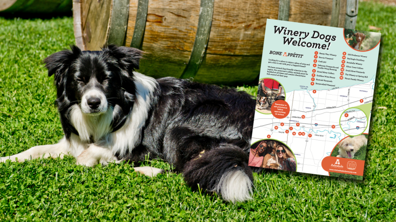 Dog Friendly Vacations In Ohio