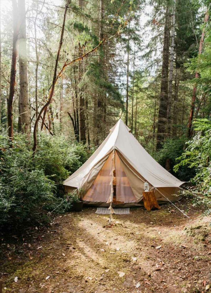 Dog Friendly Vacations In Ontario
