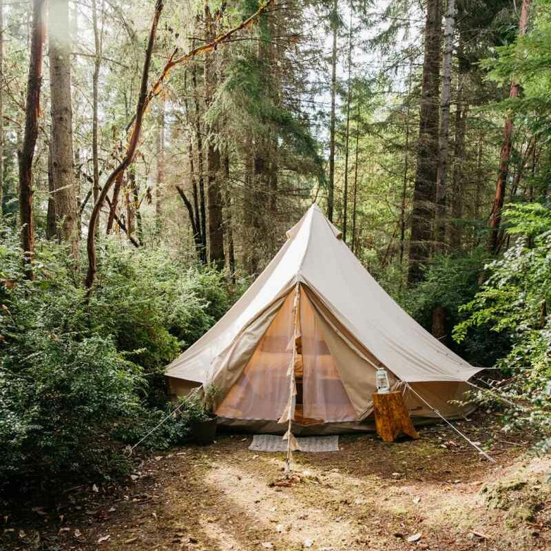 Dog Friendly Vacations In Ontario