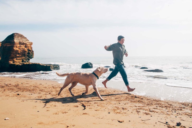 Dog Friendly Vacations In The Southeast