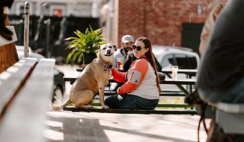Dog Friendly Vacations Ohio
