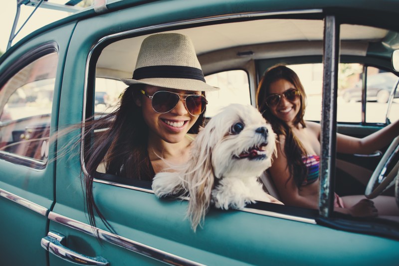 Dog Friendly Vacations Washington