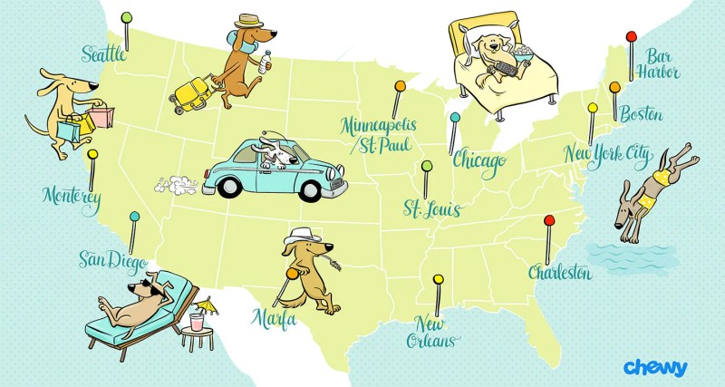 Dog Friendly Vacations